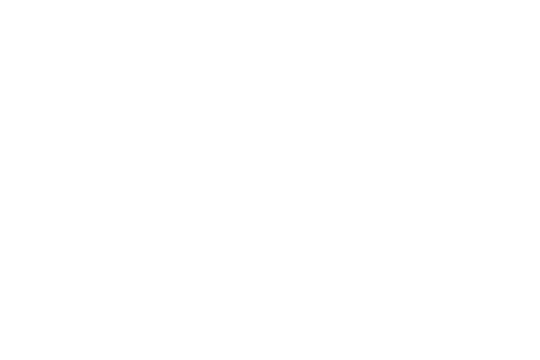 FinalRep